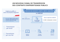 Employeur public : la transmission et la gestion des contrats d'apprentissage possible en ligne