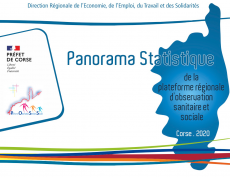 Panorama statistique de la plateforme régionale d'obervation sanitaire et sociale - édition 2020