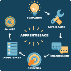 Apprentissage : ce qui change au 1er juillet 2025
