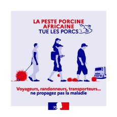 Saisonniers, transporteurs, les bons gestes pour ne pas véhiculer la peste porcine africaine (PPA).